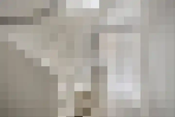 Valkenier 16 Barneveld thumbnail 18