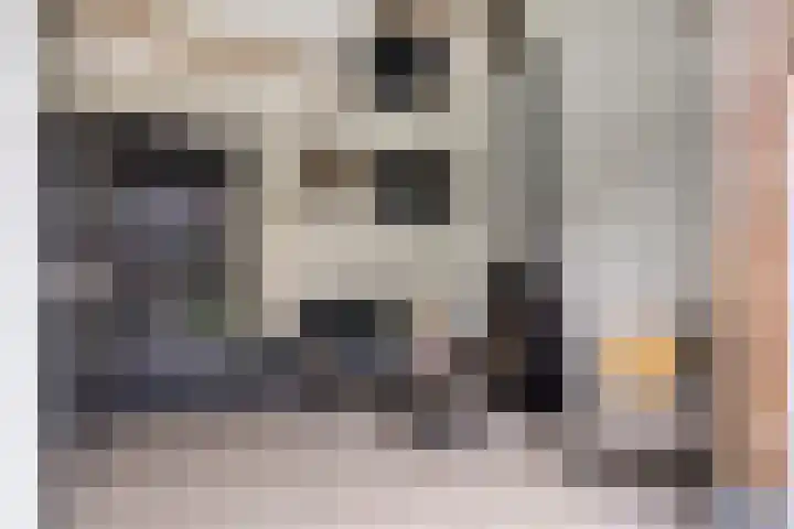 Valkenier 16 Barneveld thumbnail 34