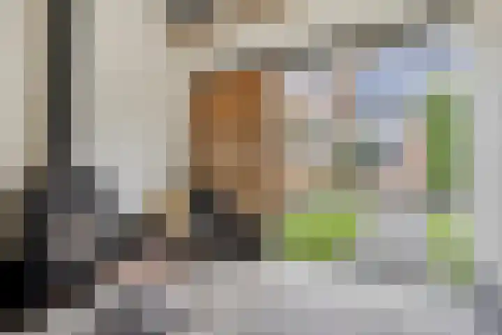 Valkenier 16 Barneveld thumbnail 35