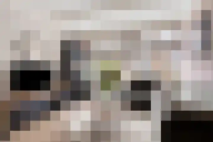 Valkenier 16 Barneveld thumbnail 6