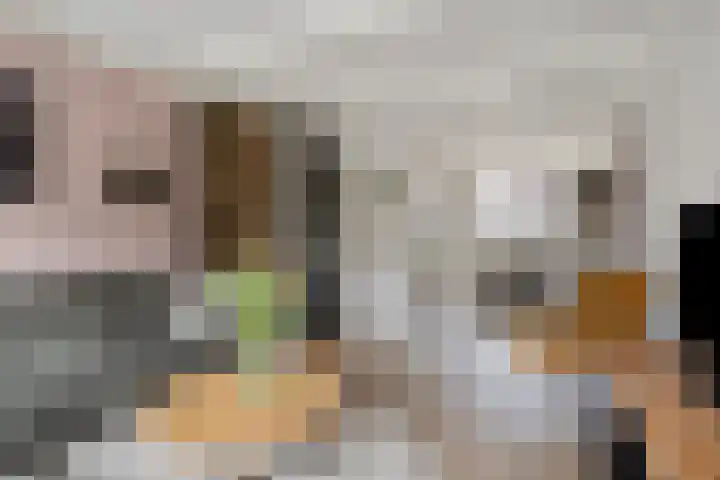 Valkenier 16 Barneveld thumbnail 7