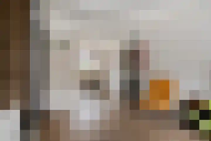 Valkenier 16 Barneveld thumbnail 8