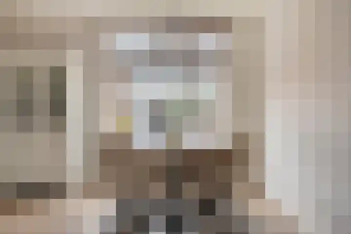Valkenier 16 Barneveld thumbnail 9