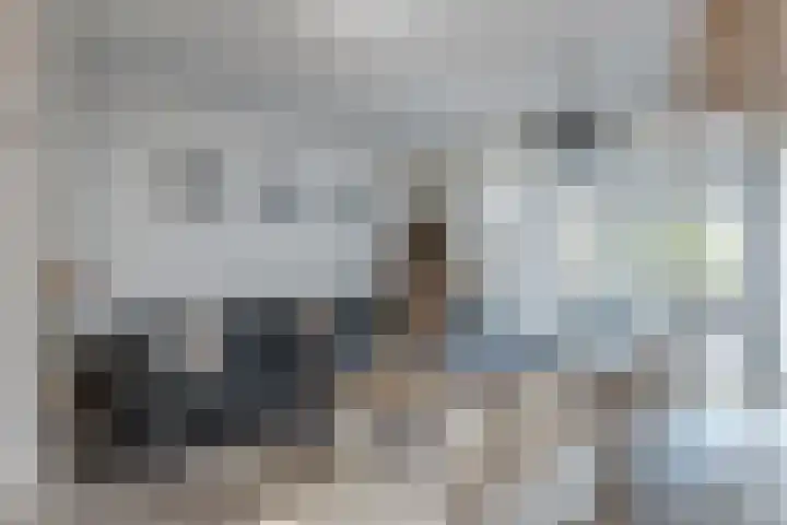 Valkenier 23 Leerdam thumbnail 10