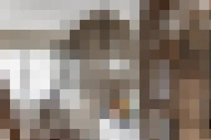 Valkenier 23 Leerdam thumbnail 20