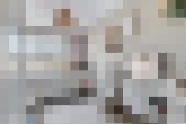 Valkenier 23 Leerdam thumbnail 27
