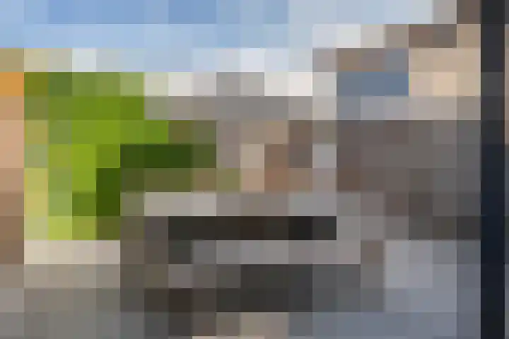 Valkenier 23 Leerdam thumbnail 41