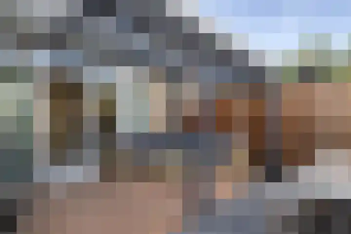 Valkenier 23 Leerdam thumbnail 44