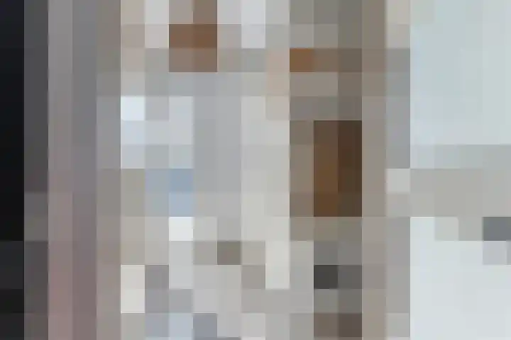 Valkenier 23 Leerdam thumbnail 7