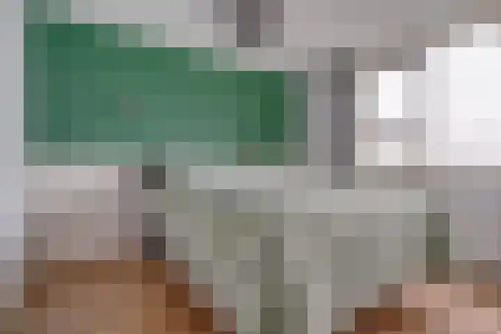 Valkenier 25 Leerdam thumbnail 14