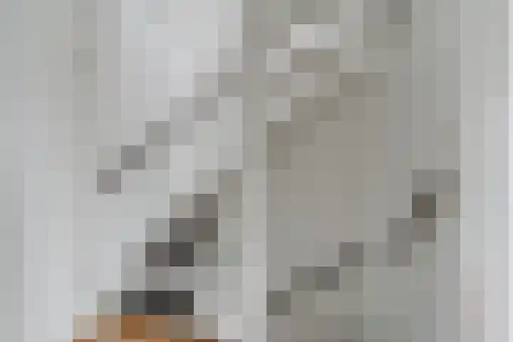 Valkenier 25 Leerdam thumbnail 24