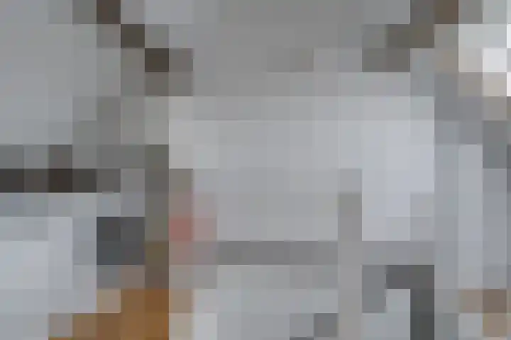 Valkenier 25 Leerdam thumbnail 25