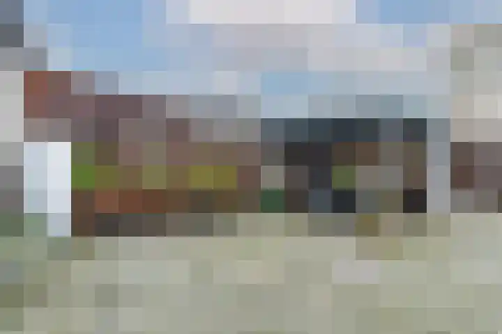 Valkenier 25 Leerdam thumbnail 32