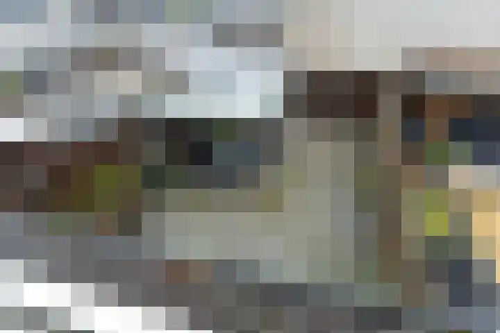 Valkenier 25 Leerdam thumbnail 33