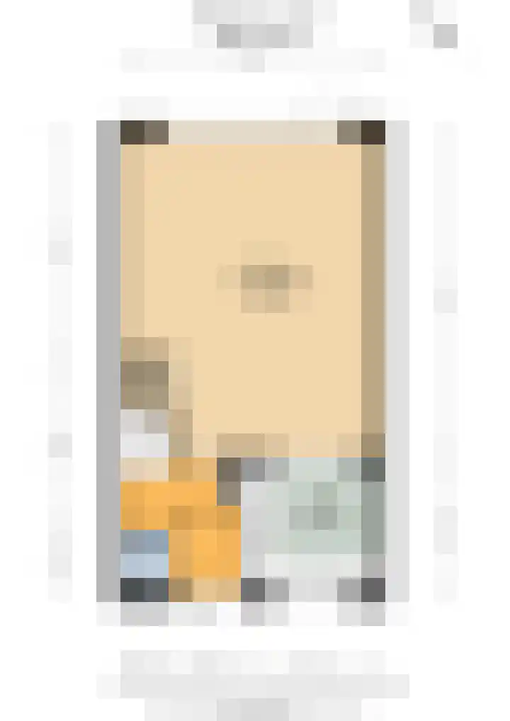 Valkenier 25 Leerdam thumbnail 38