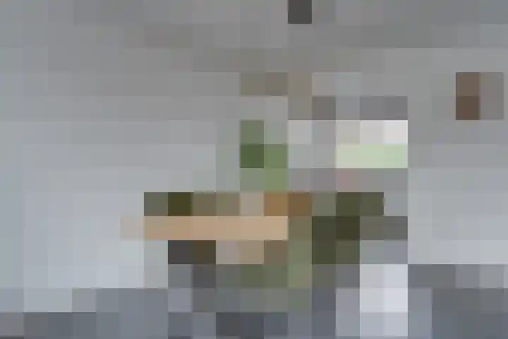 Valkenier 25 Leerdam thumbnail 7