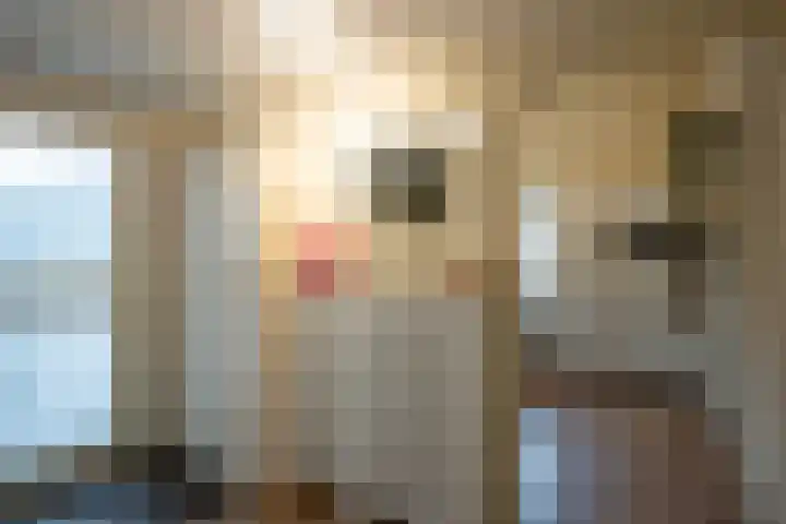 Valkenier 3 Malden thumbnail 14