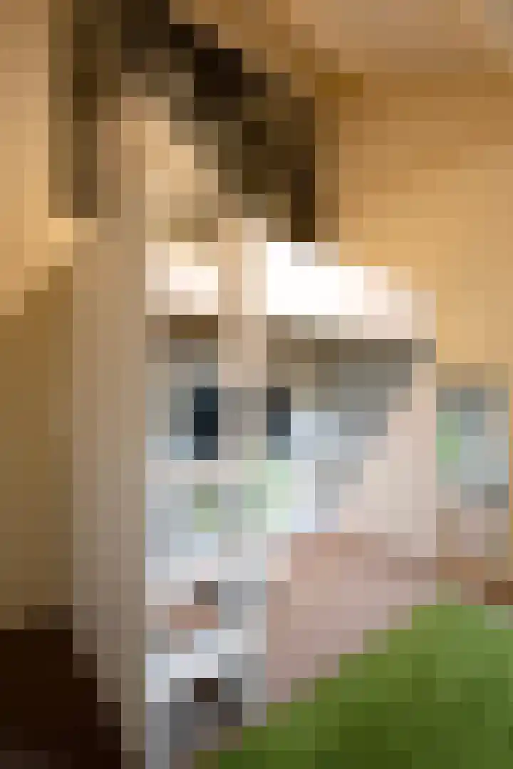 Valkenier 3 Malden thumbnail 23