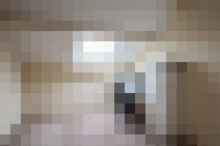 Valkenier 3 Malden thumbnail 27