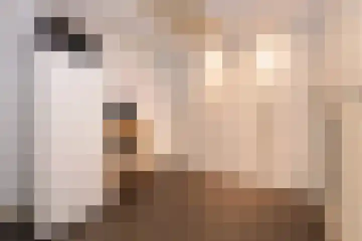 Valkenier 6 Malden thumbnail 12