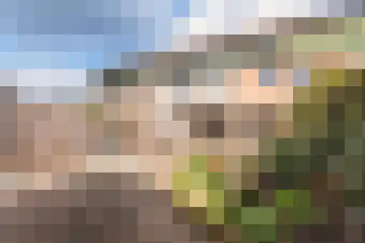 Valkenier 6 Malden thumbnail 25