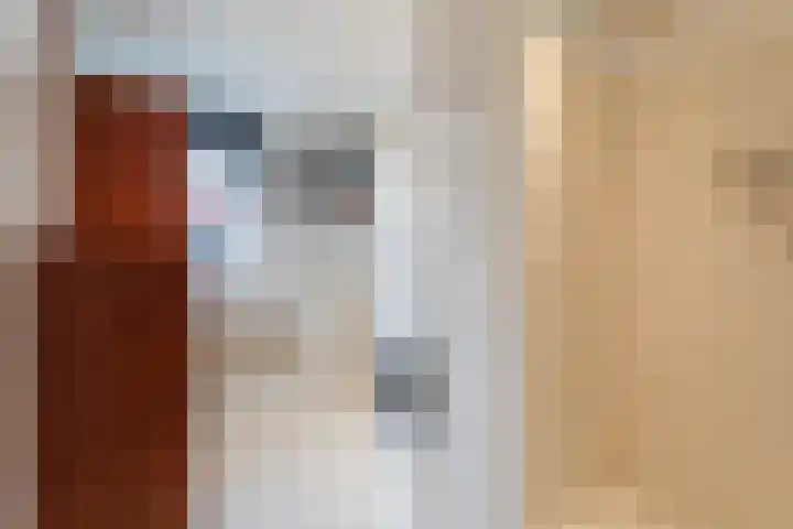 Valkenier 7 Rhoon thumbnail 10