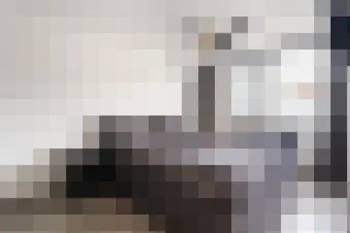 Valkenier 7 Rhoon thumbnail 11