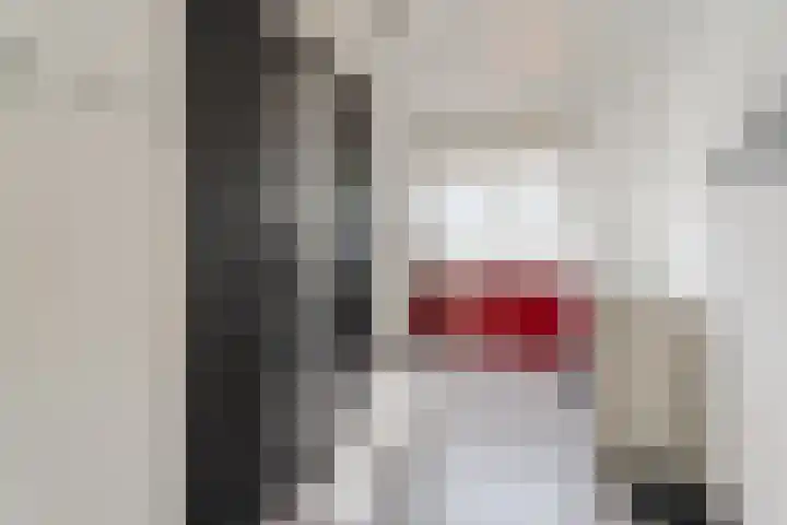Valkenier 7 Rhoon thumbnail 18