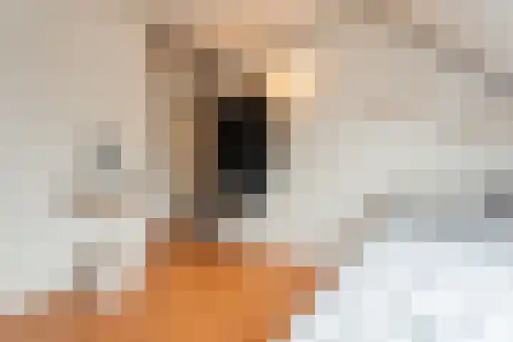 Valkenier 7 Rhoon thumbnail 22