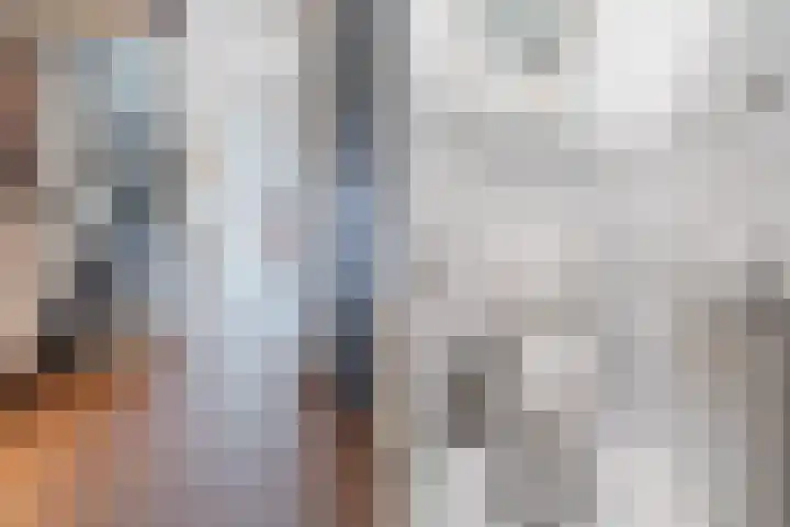 Valkenier 7 Rhoon thumbnail 5