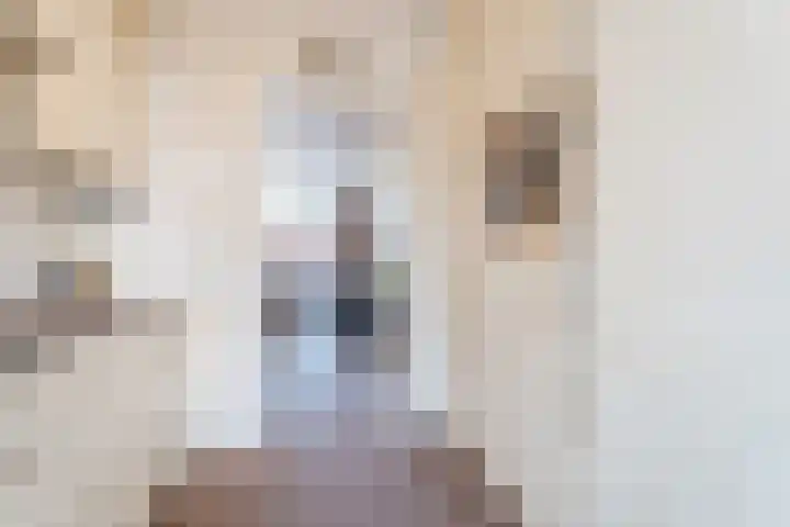 Valkenier 7 Rhoon thumbnail 8