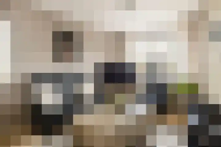 Valkenier 9 Ede thumbnail 10