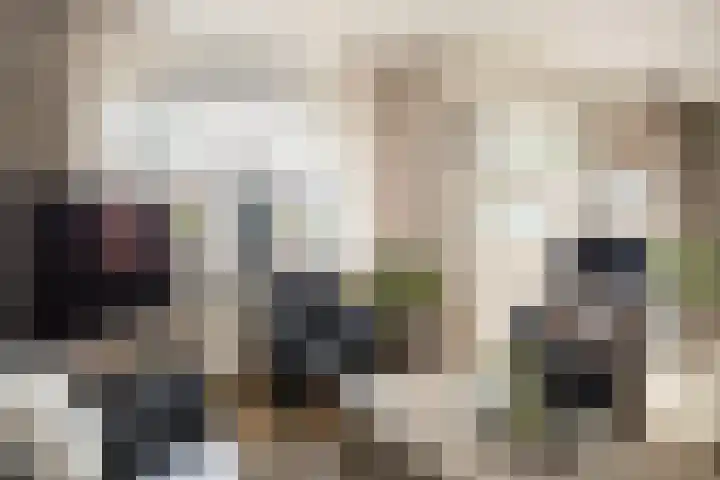 Valkenier 9 Ede thumbnail 11