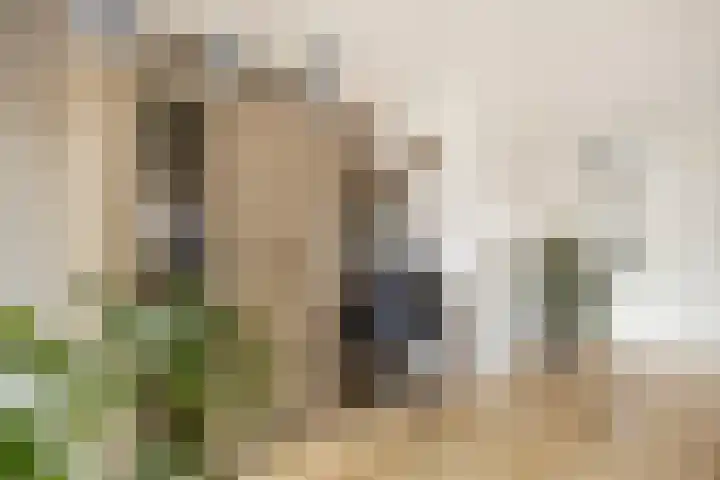 Valkenier 9 Ede thumbnail 12