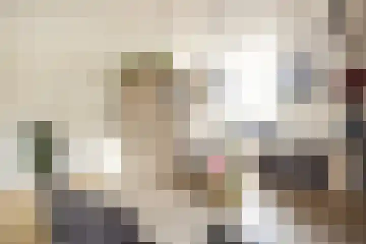 Valkenier 9 Ede thumbnail 16