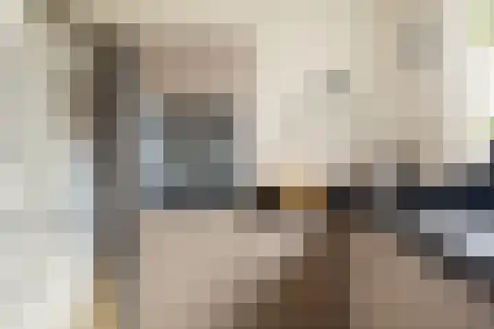 Valkenier 9 Ede thumbnail 18
