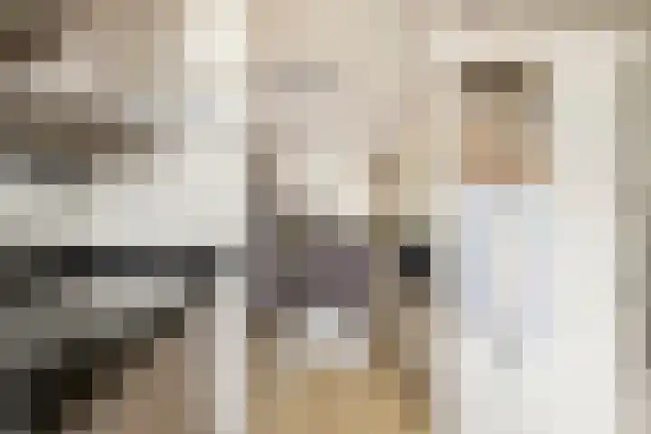 Valkenier 9 Ede thumbnail 20
