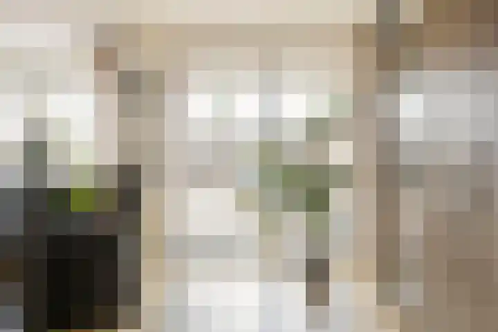 Valkenier 9 Ede thumbnail 22