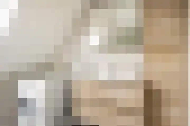 Valkenier 9 Ede thumbnail 29
