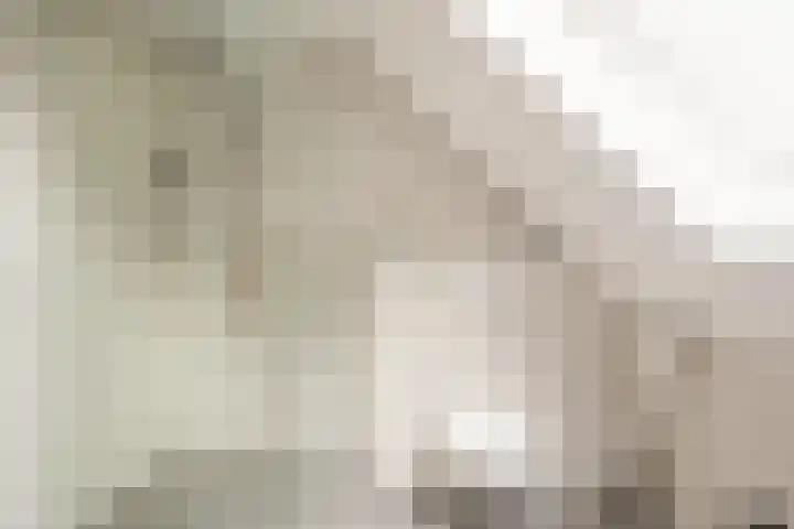 Valkenier 9 Ede thumbnail 30