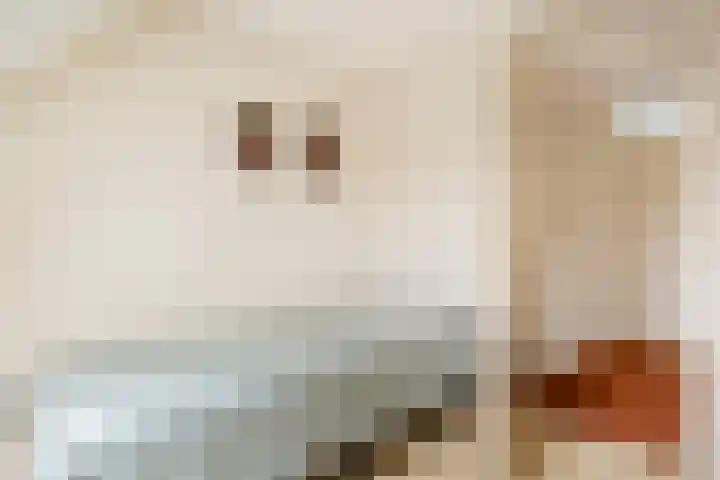 Valkenier 9 Ede thumbnail 35