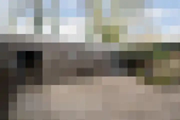 Valkenier 9 Ede thumbnail 39