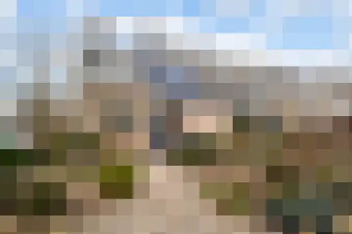 Valkenier 9 Ede thumbnail 47