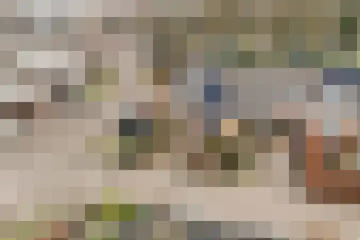 Valkenier 9 Ede thumbnail 50