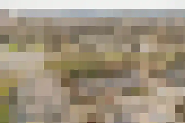 Valkenier 9 Ede thumbnail 51