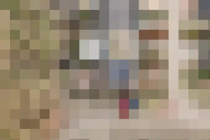 Valkenier 9 Ede thumbnail 52