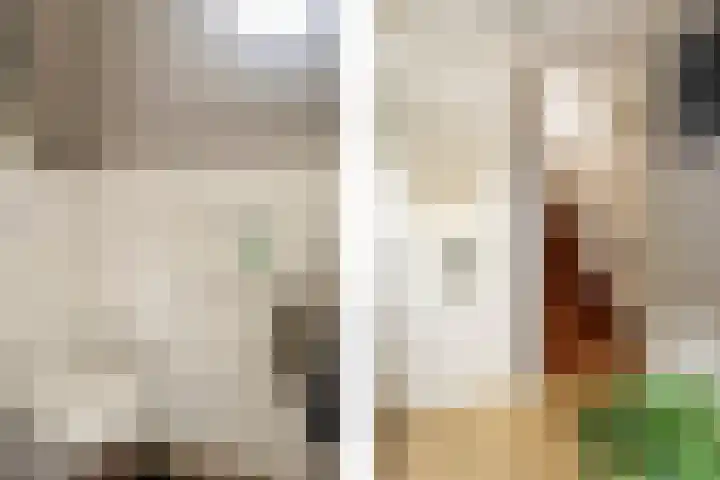 Valkenier 9 Ede thumbnail 8