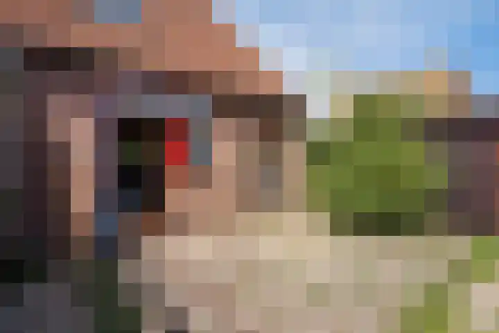 Valkenlaan 81 Delft thumbnail 16