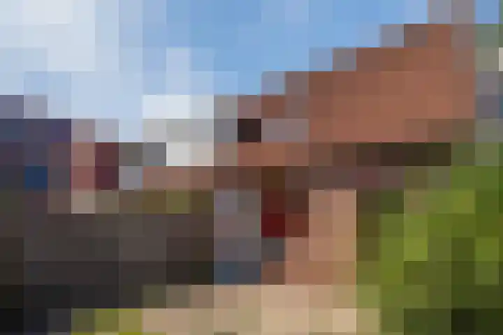 Valkenlaan 81 Delft thumbnail 18