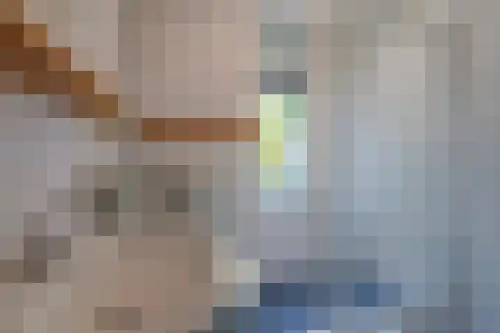 Valkenlaan 81 Delft thumbnail 28
